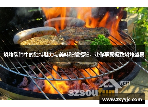 烧烤裂蹄牛的独特魅力与美味秘籍揭秘，让你享受极致烧烤盛宴